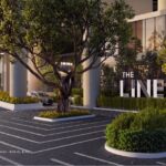 The Lines