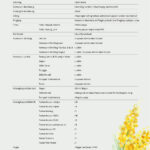 Seri Akasia , Puncak Bestari