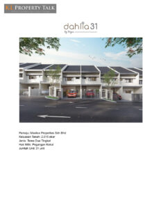Dahlia 31
