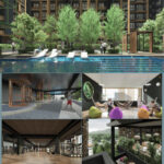 Canopy Hills 2