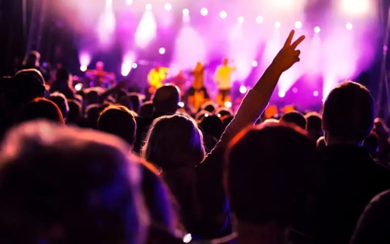 konsert Envato Elements